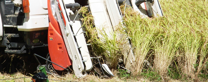 平成25年度産新米稲刈り風景