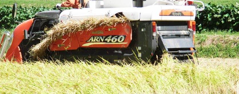 平成25年度産新米稲刈り風景