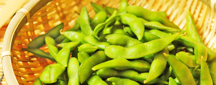 丹波篠山の黒大豆枝豆、解禁