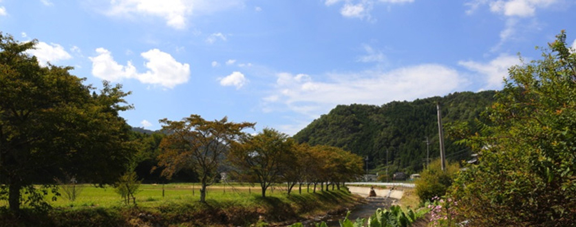 後川の里山風景