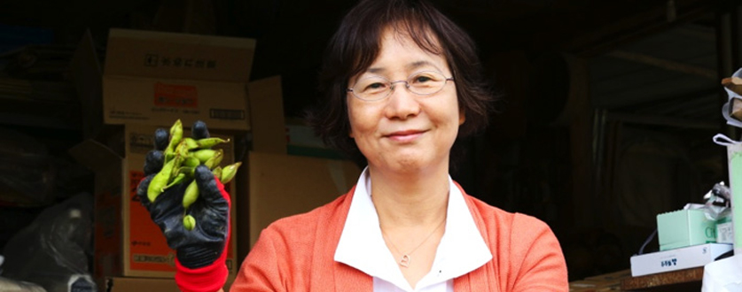 黒大豆枝豆の収穫をした金谷さん