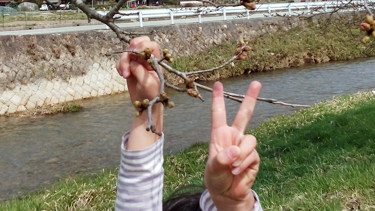 2014年春の訪れ風景