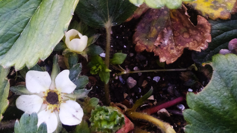 2014年春の訪れ風景