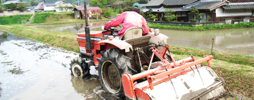 パパがトラクターで田んぼすき