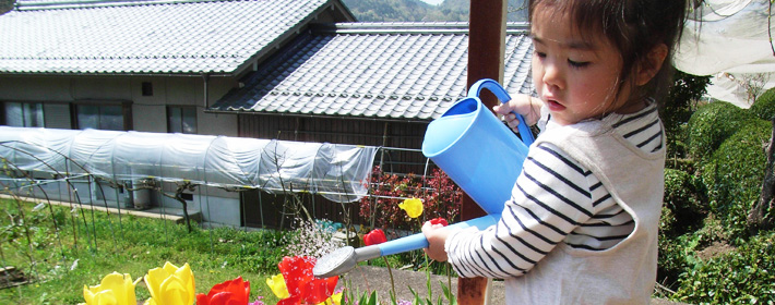 がんばってチューリップに水やり