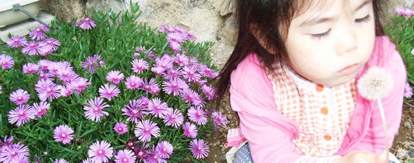 暇つぶしの綿飛ばし