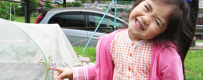 ジャガイモの花