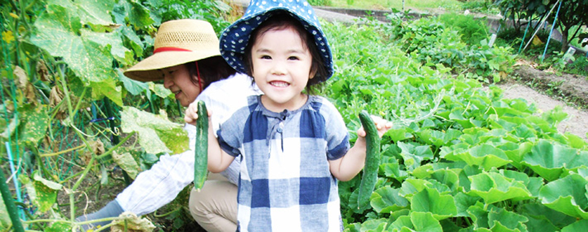 自分の顔サイズのキュウリ