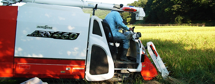 2011年度産、新米収穫スタート！