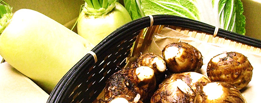 冬のお鍋セット（小倉屋のオーガニック野菜）