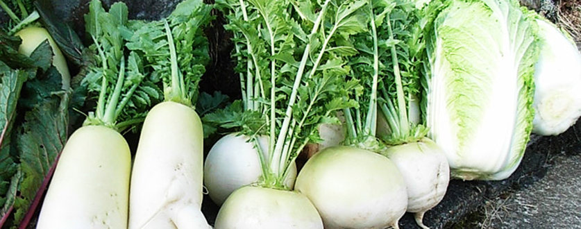 オーガニック野菜／丹波篠山産