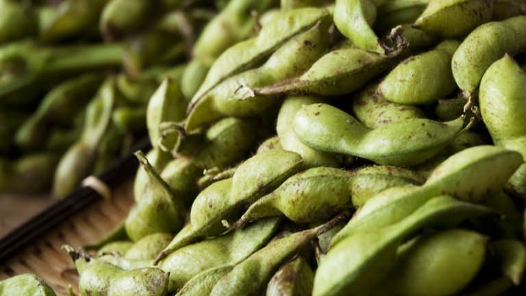 平成26年度丹波篠山後川産の黒大豆枝豆