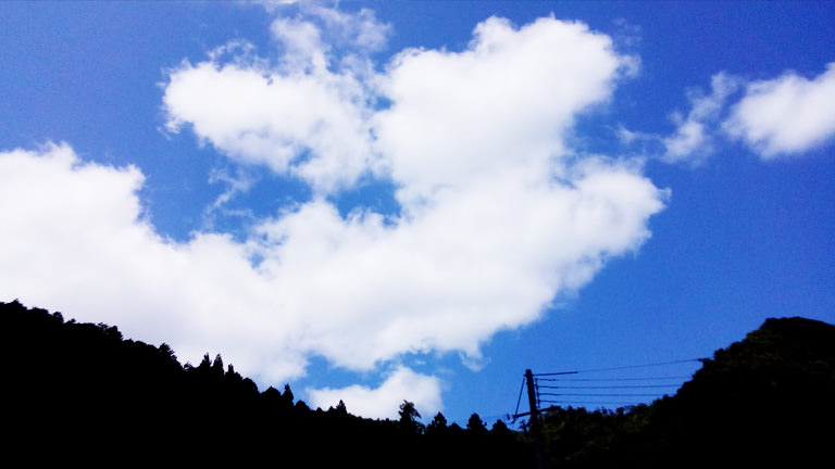 めちゃくちゃ暑い日が続いている後川