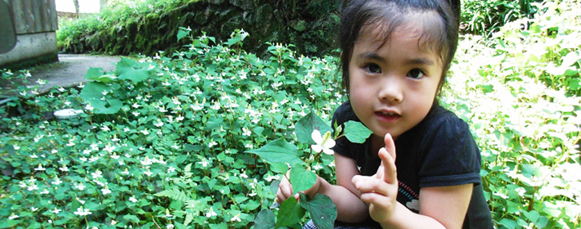 ドクダミ畑で、はいチーズ〜