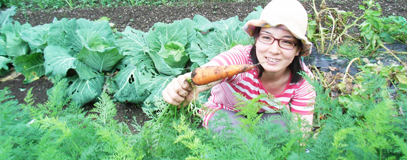 お野菜の収穫