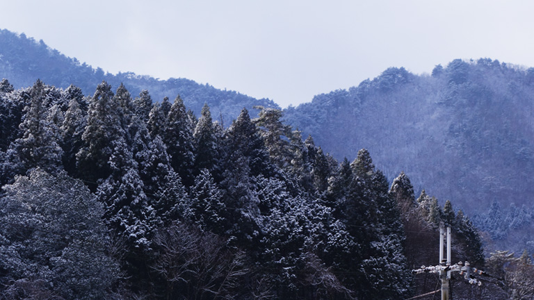 初積雪（2014-12-18-2）