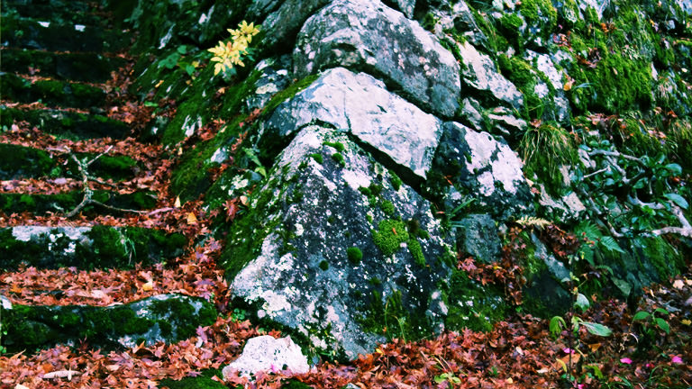 丹波篠山の紅葉