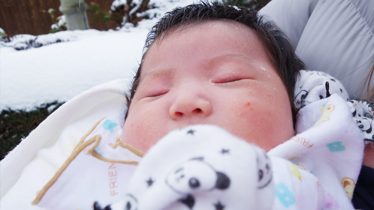 小倉屋の新しい仲間