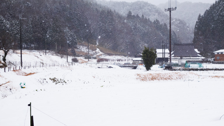 2016丹波篠山後川の初積雪
