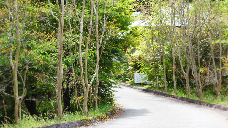 丹波篠山渓谷の森公園のコテージ
