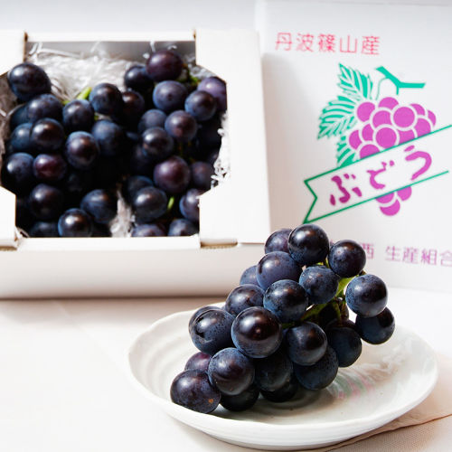 丹波篠山後川産「しつかわの藤稔」