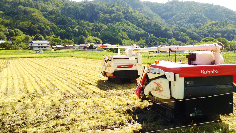 平成30年新米販売