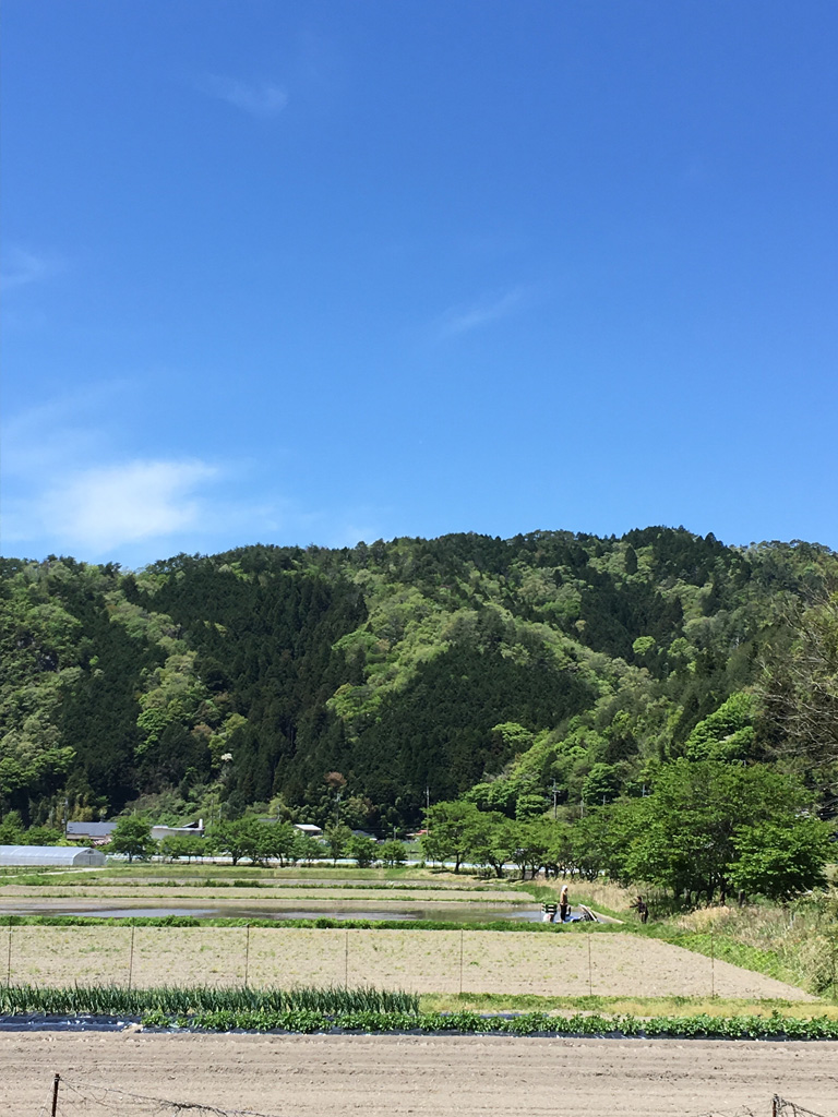 2019-5-8-3 田植え