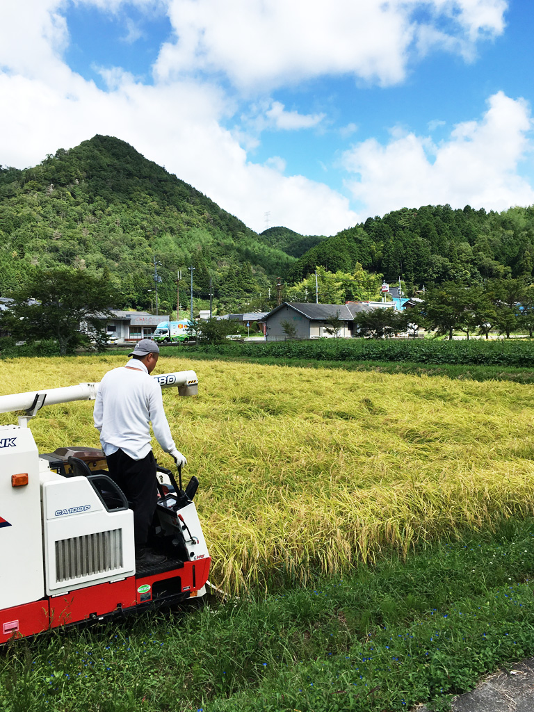 令和元年の稲刈り